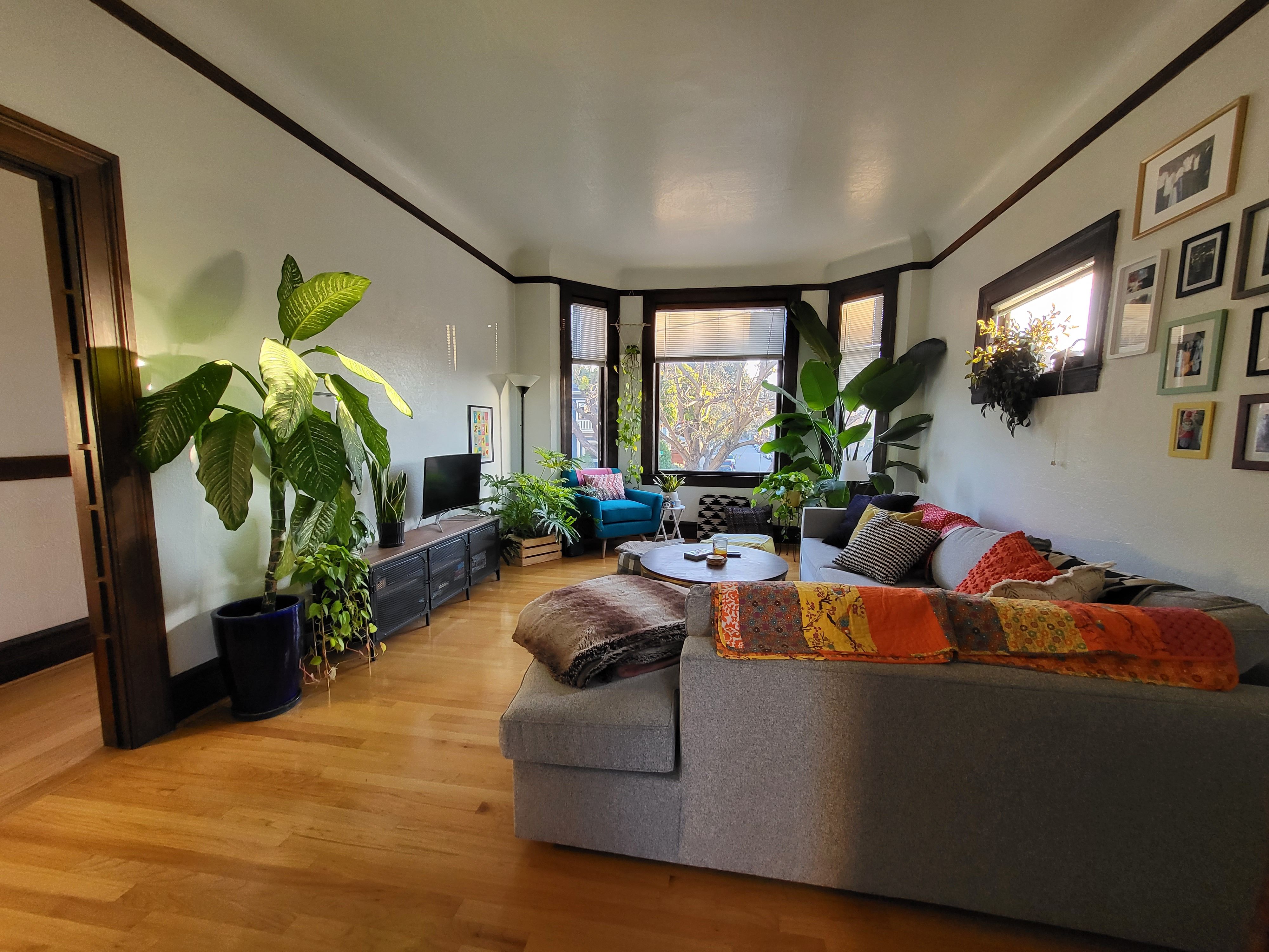 739 Santa Clara Ave #F