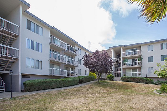 960 Shorepoint Court #204