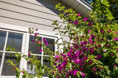 property thumnail