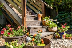 property thumnail